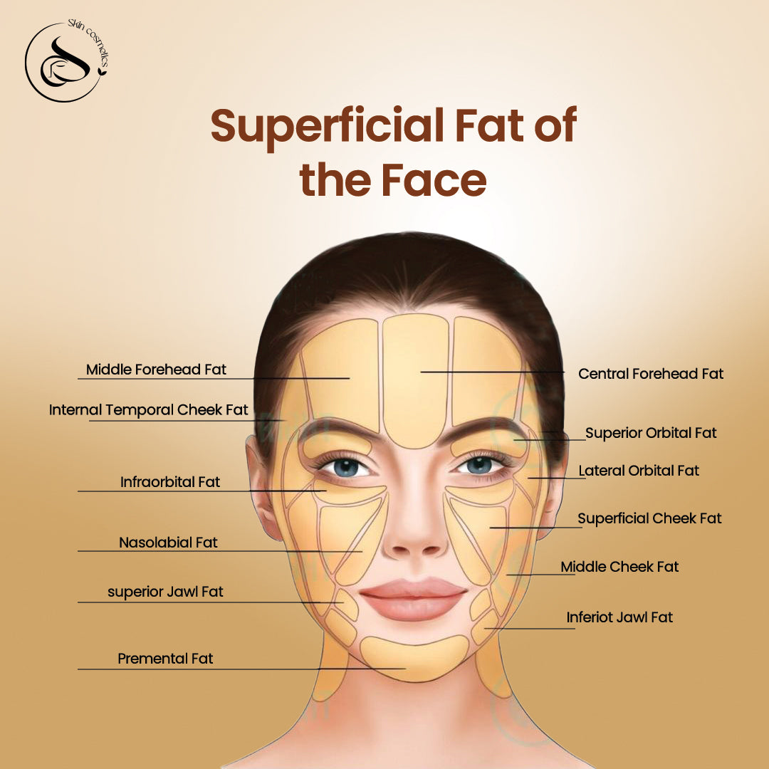 Reshape Face Slimming